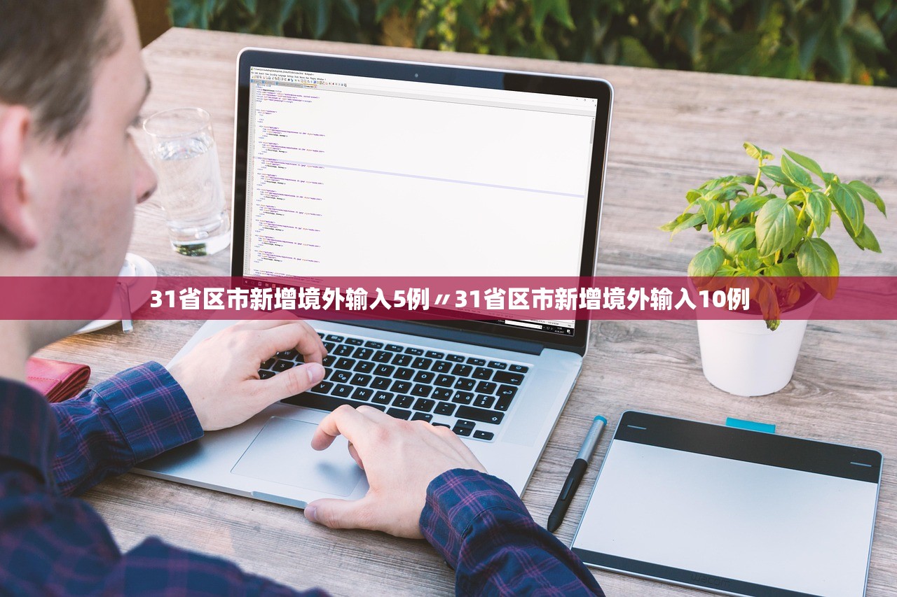 31省区市新增境外输入5例〃31省区市新增境外输入10例