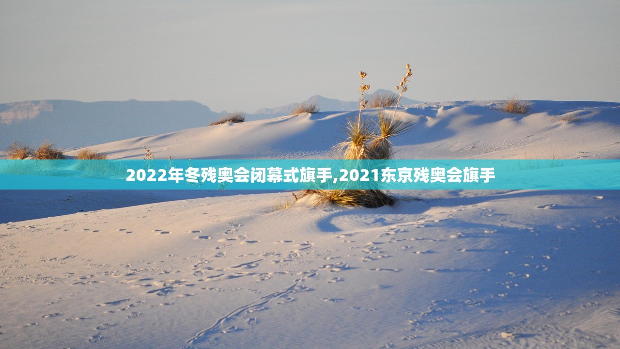 2022年冬残奥会闭幕式旗手,2021东京残奥会旗手