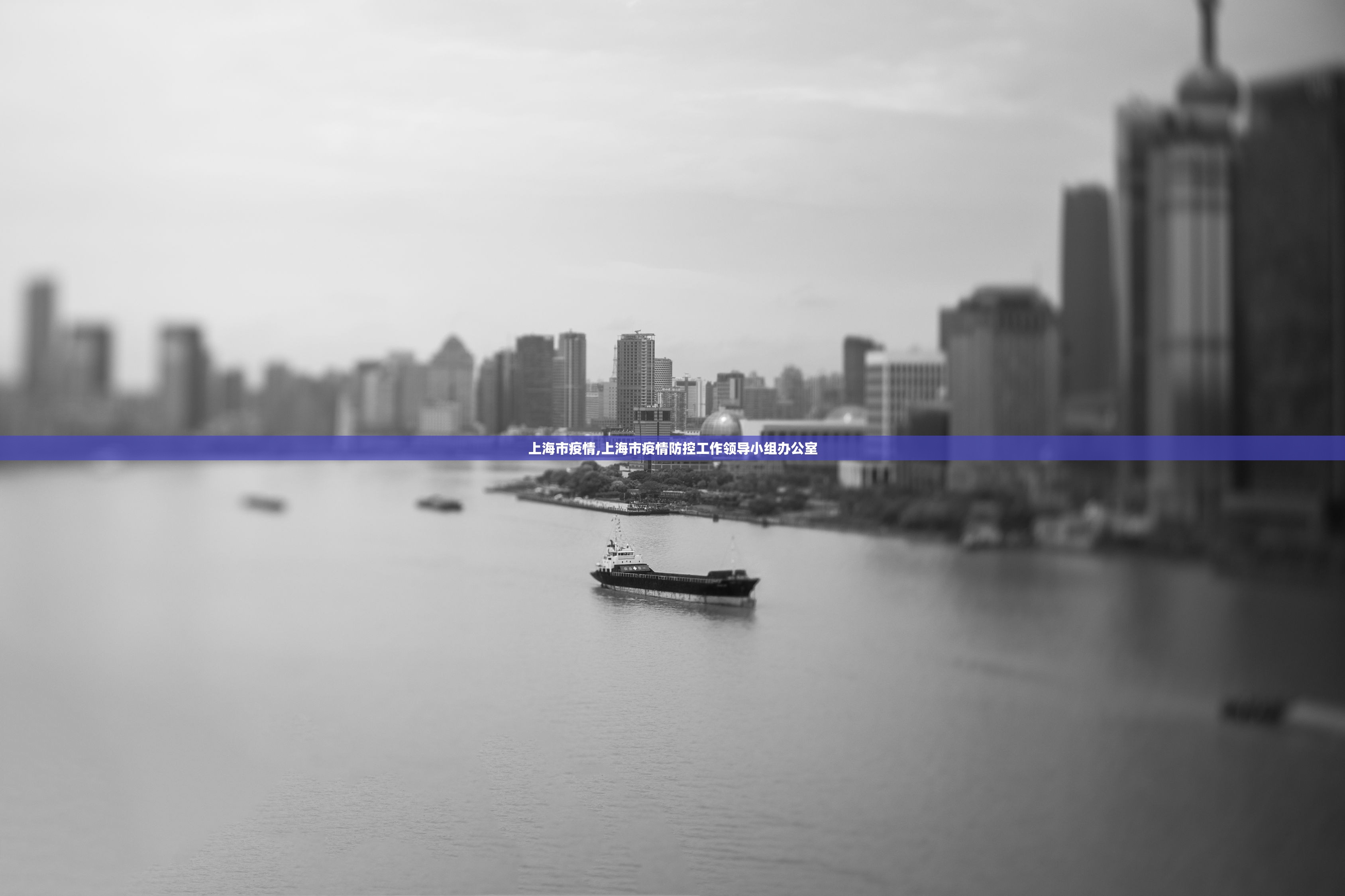 上海市疫情,上海市疫情防控工作领导小组办公室