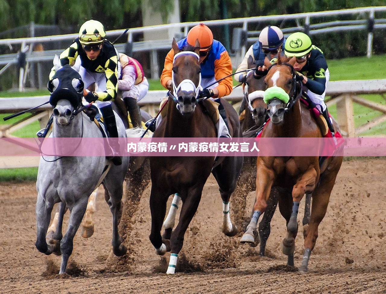 内蒙疫情〃内蒙疫情女发言人 内蒙疫情〃内蒙疫情女发言人