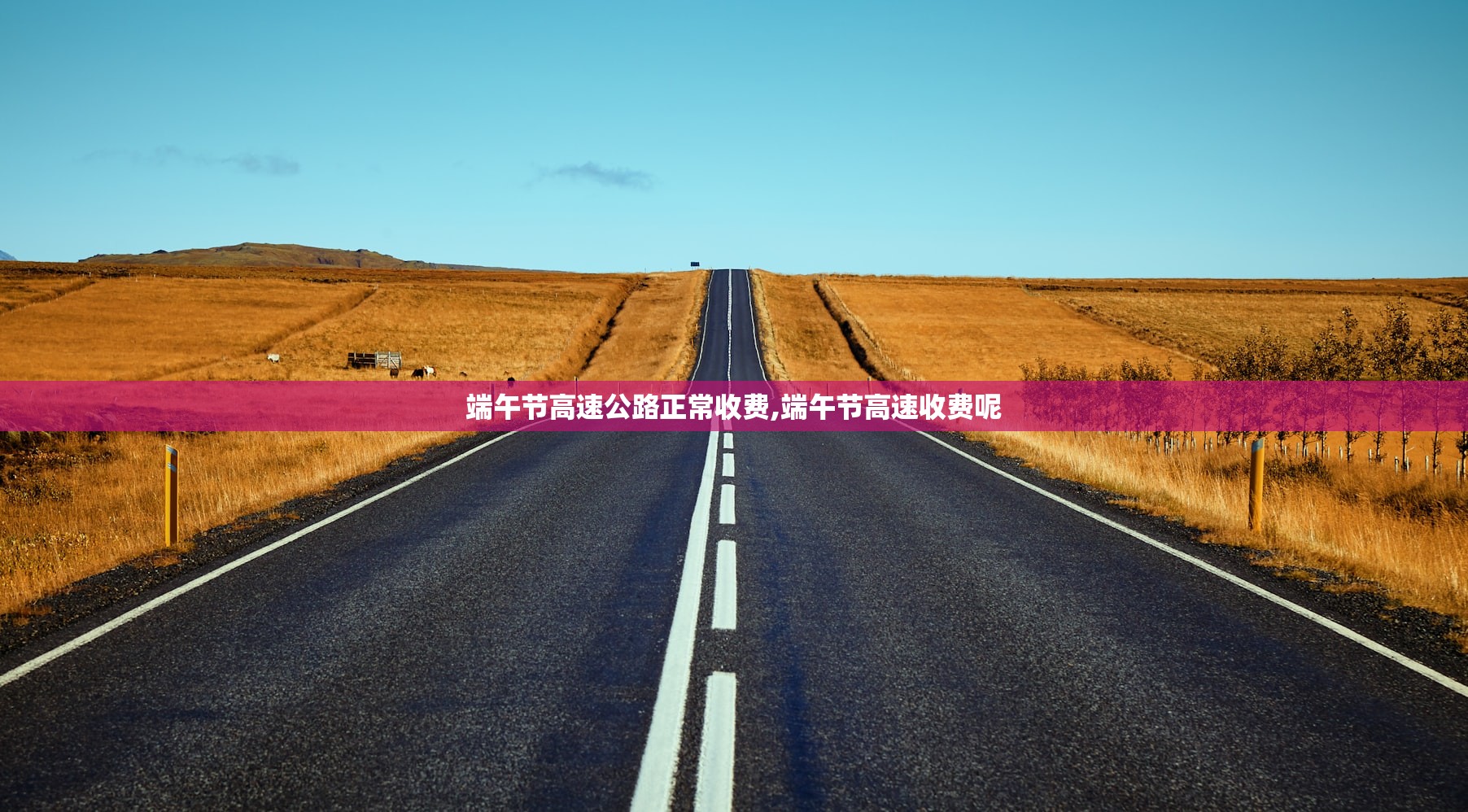 端午节高速公路正常收费,端午节高速收费呢