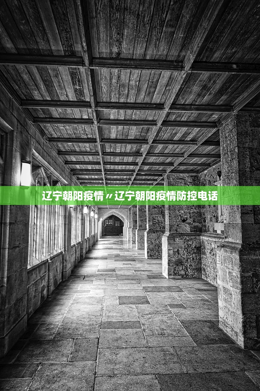 辽宁朝阳疫情〃辽宁朝阳疫情防控电话