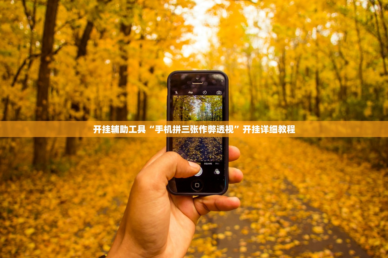 开挂辅助工具“手机拼三张作弊透视”开挂详细教程