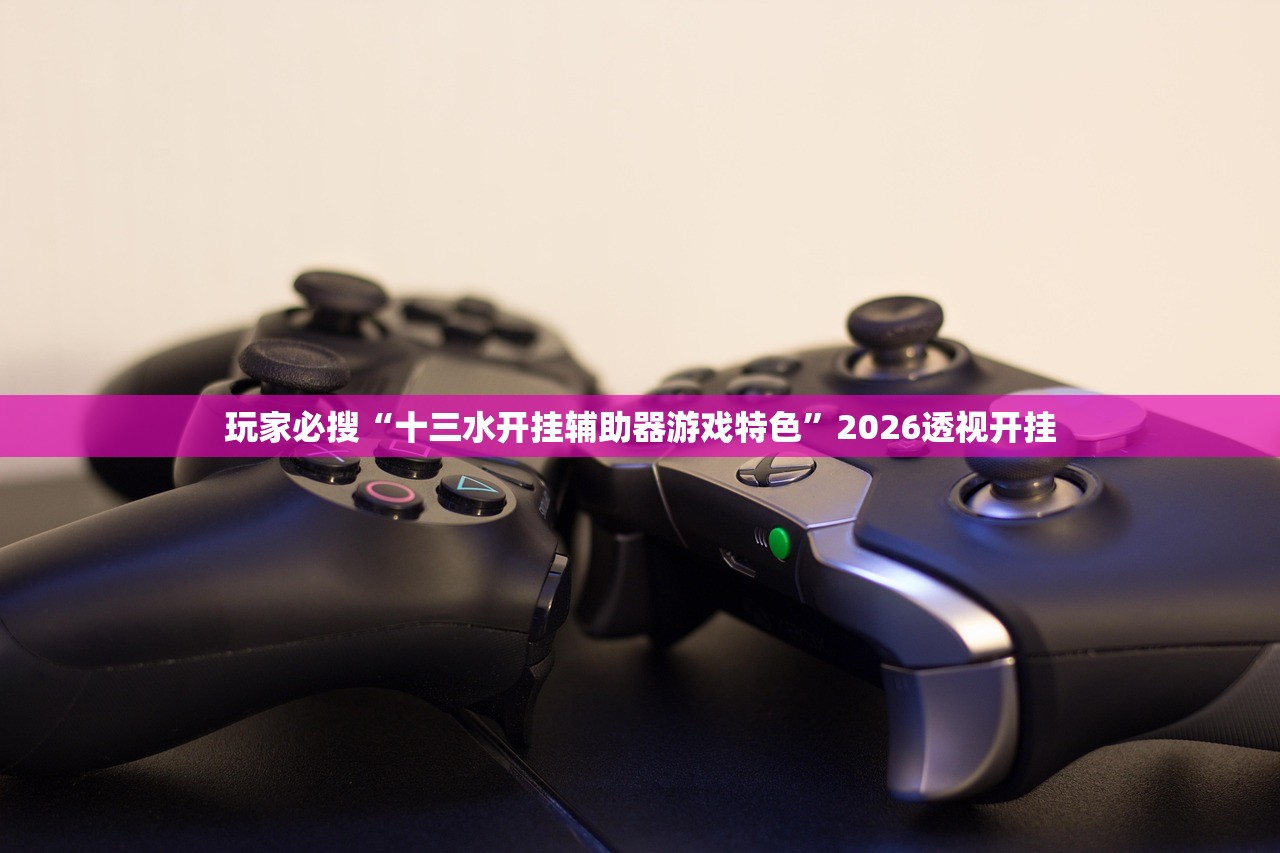 玩家必搜“十三水开挂辅助器游戏特色”2026透视开挂