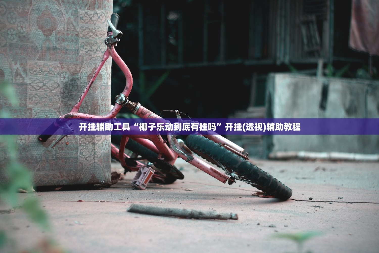 开挂辅助工具“椰子乐动到底有挂吗”开挂(透视)辅助教程