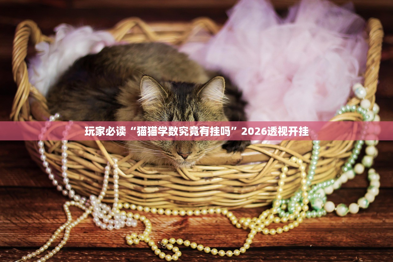 玩家必读“猫猫学数究竟有挂吗”2026透视开挂