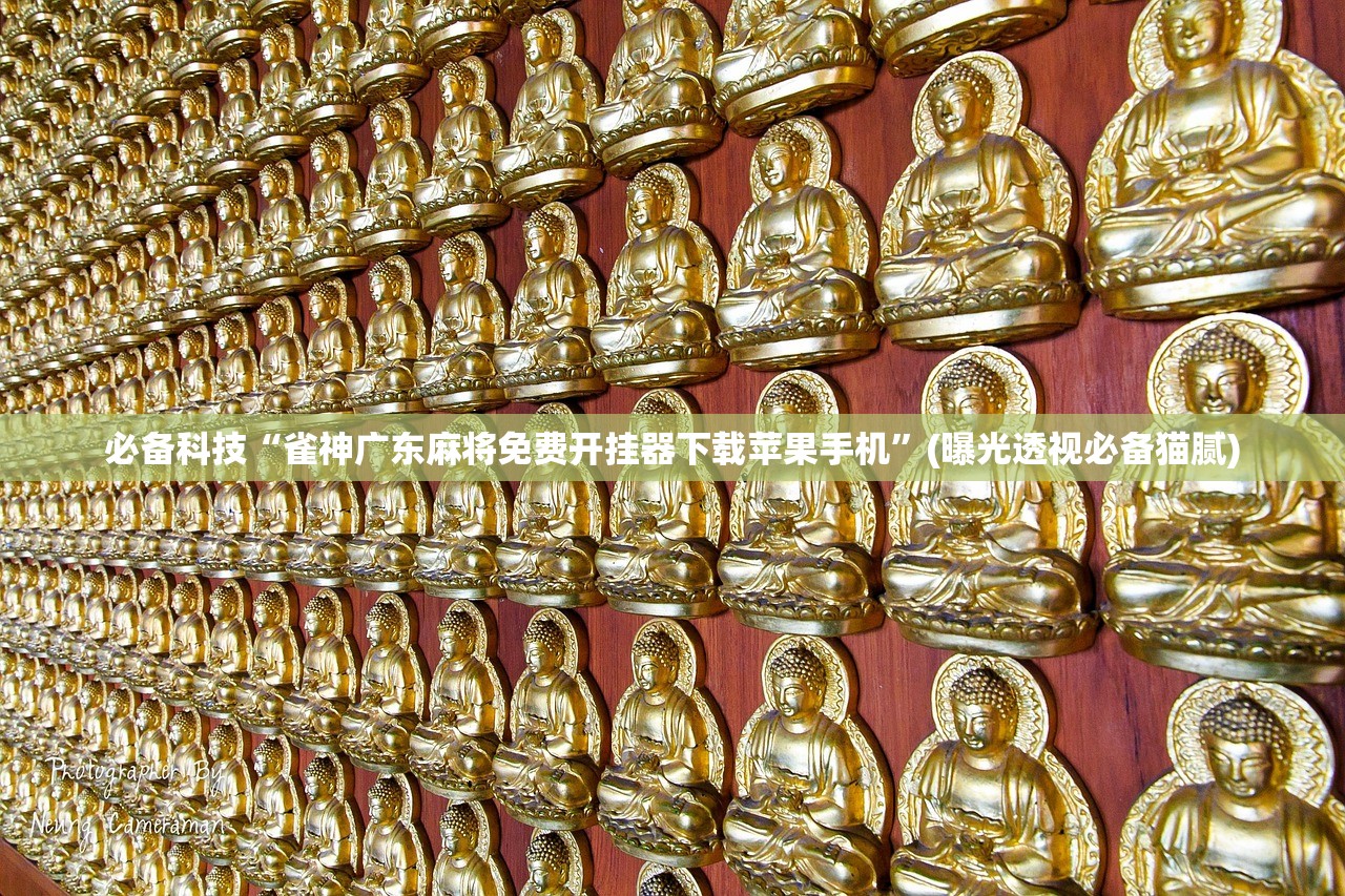 必学教你安装“白金岛手游放炮罚透视脚本软件”真实开挂技巧分享