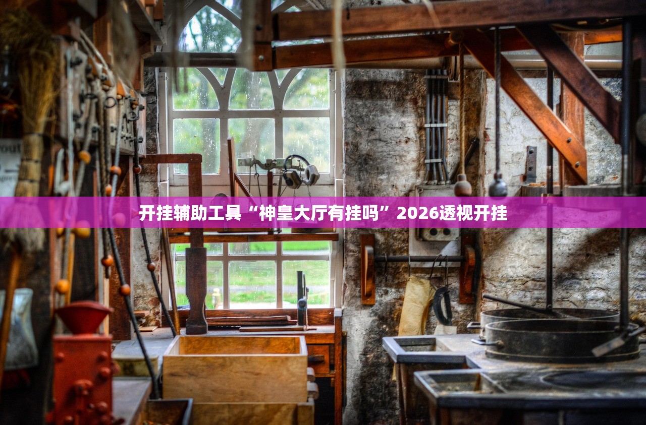 开挂辅助工具“神皇大厅有挂吗”2026透视开挂