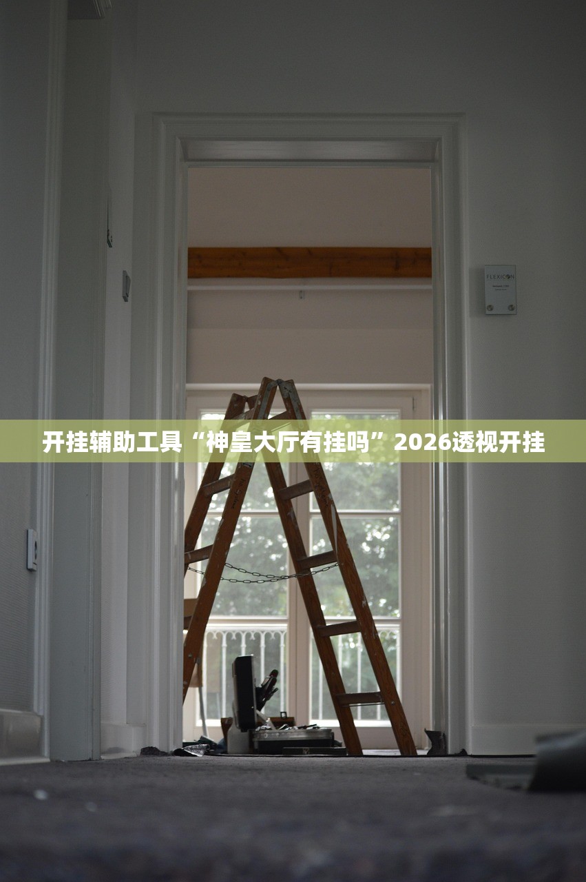 开挂辅助工具“神皇大厅有挂吗”2026透视开挂