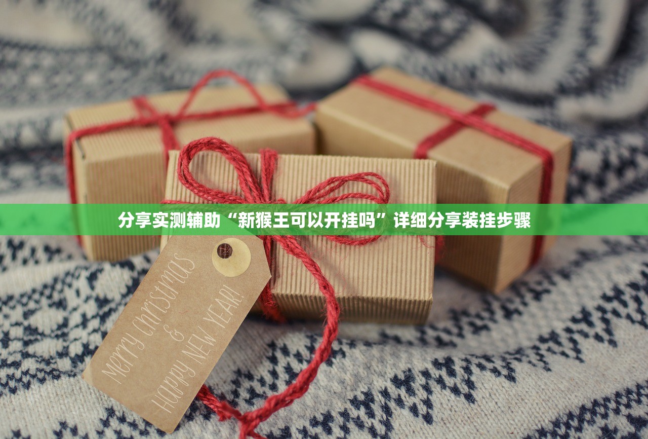 分享实测辅助“新猴王可以开挂吗”详细分享装挂步骤