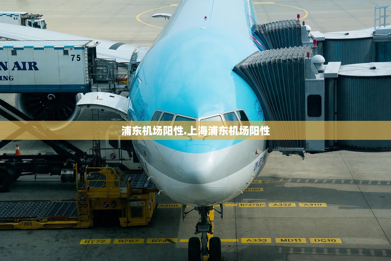 推荐一款“德扑之星作弊透视方法”2026透视开挂