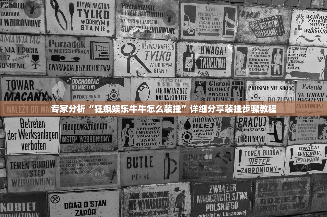 专家分析“狂飙娱乐牛牛怎么装挂	”详细分享装挂步骤教程