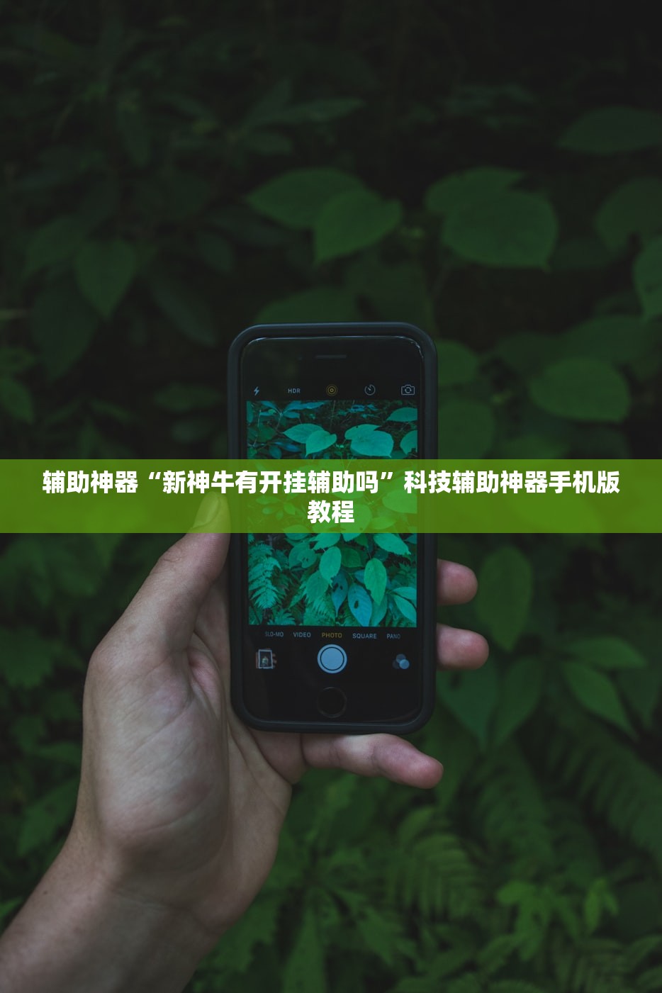 辅助神器“新神牛有开挂辅助吗”科技辅助神器手机版教程