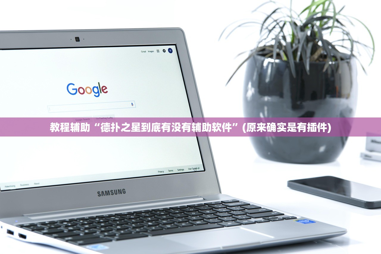 教程辅助“德扑之星到底有没有辅助软件”(原来确实是有插件)