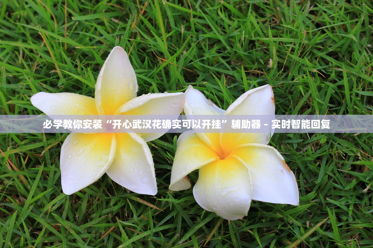 必学教你安装“开心武汉花确实可以开挂”辅助器 – 实时智能回复