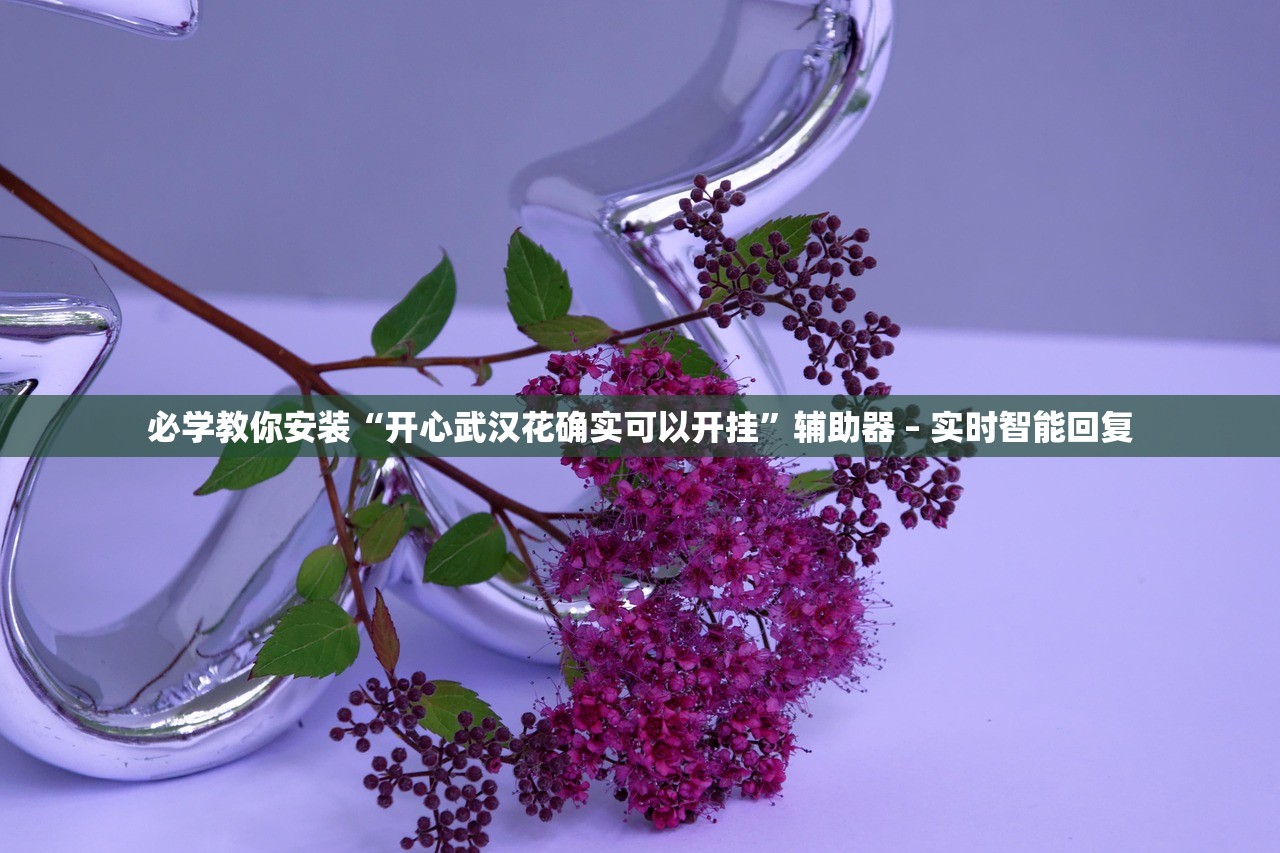 必学教你安装“开心武汉花确实可以开挂”辅助器 – 实时智能回复