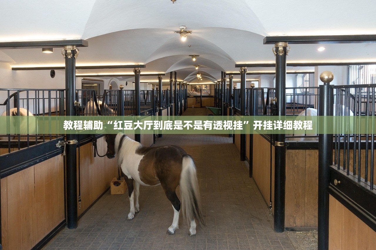教程辅助“红豆大厅到底是不是有透视挂	”开挂详细教程