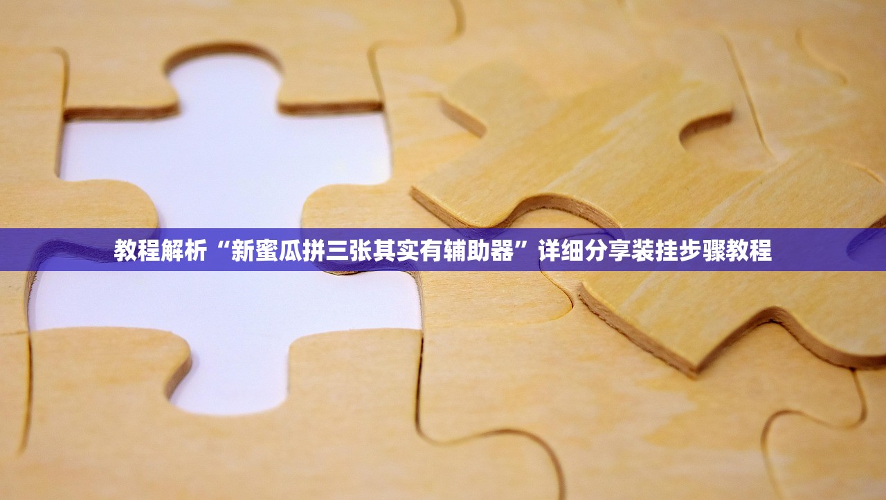 教程解析“新蜜瓜拼三张其实有辅助器”详细分享装挂步骤教程