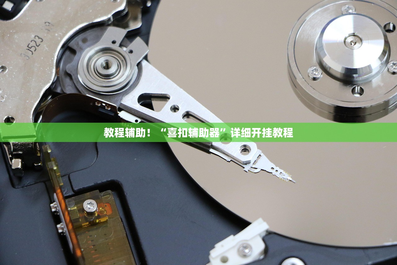 教程辅助！“喜扣辅助器”详细开挂教程