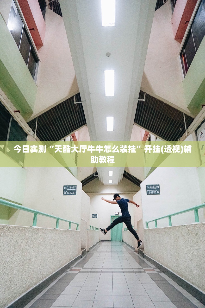 可用版本“新起点是不是有挂	”详细分享装挂步骤