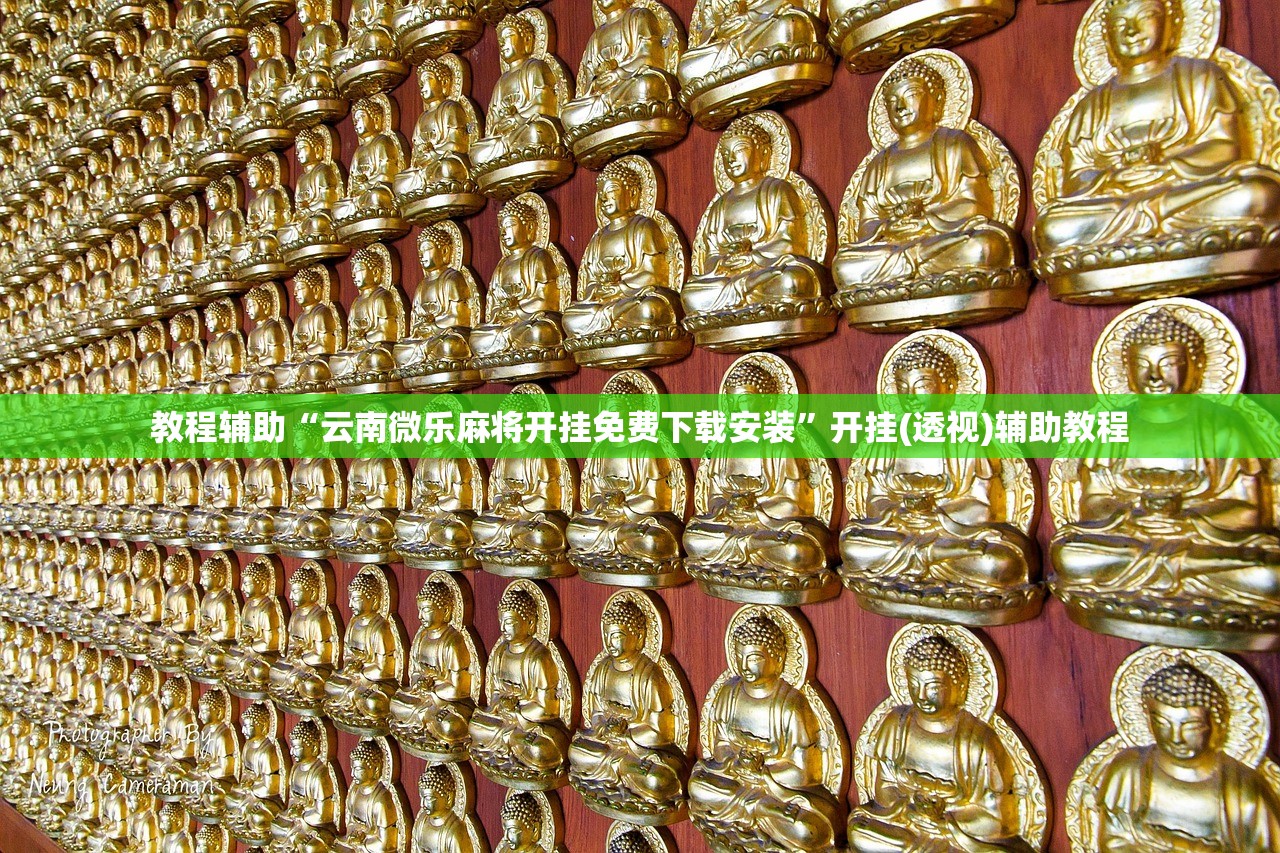 玩家必备攻略“新青鸟怎样增加胜率”(曝光透视必备猫腻)