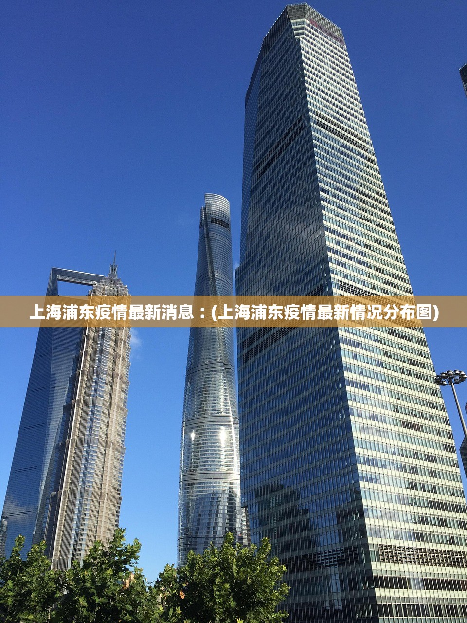 上海浦东疫情最新消息︰(上海浦东疫情最新情况分布图)
