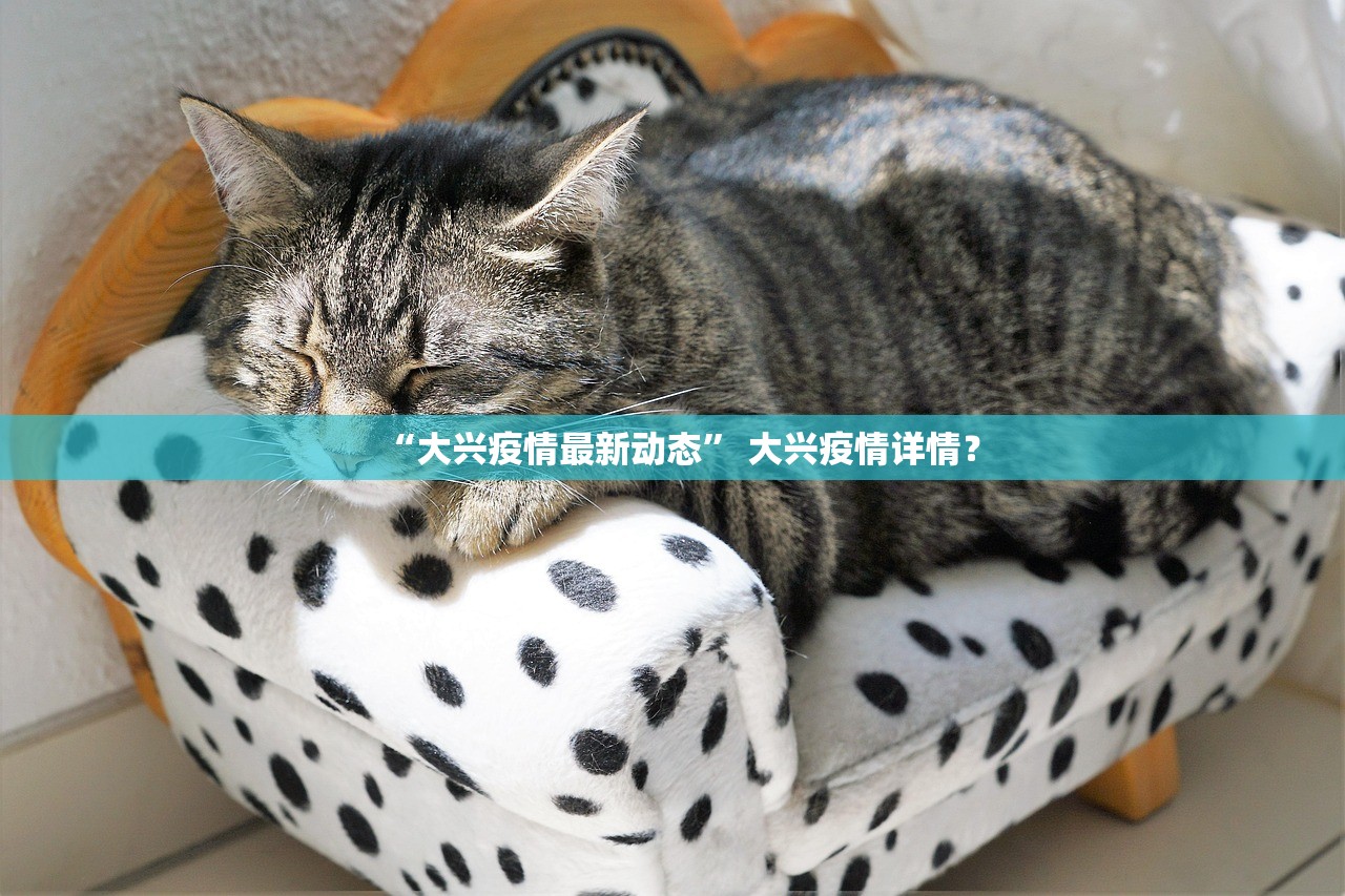 “大兴疫情最新动态” 大兴疫情详情？