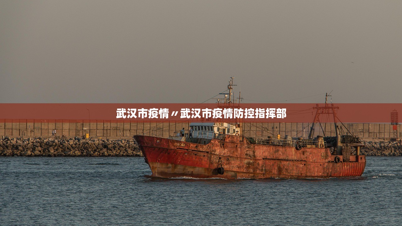 武汉市疫情〃武汉市疫情防控指挥部