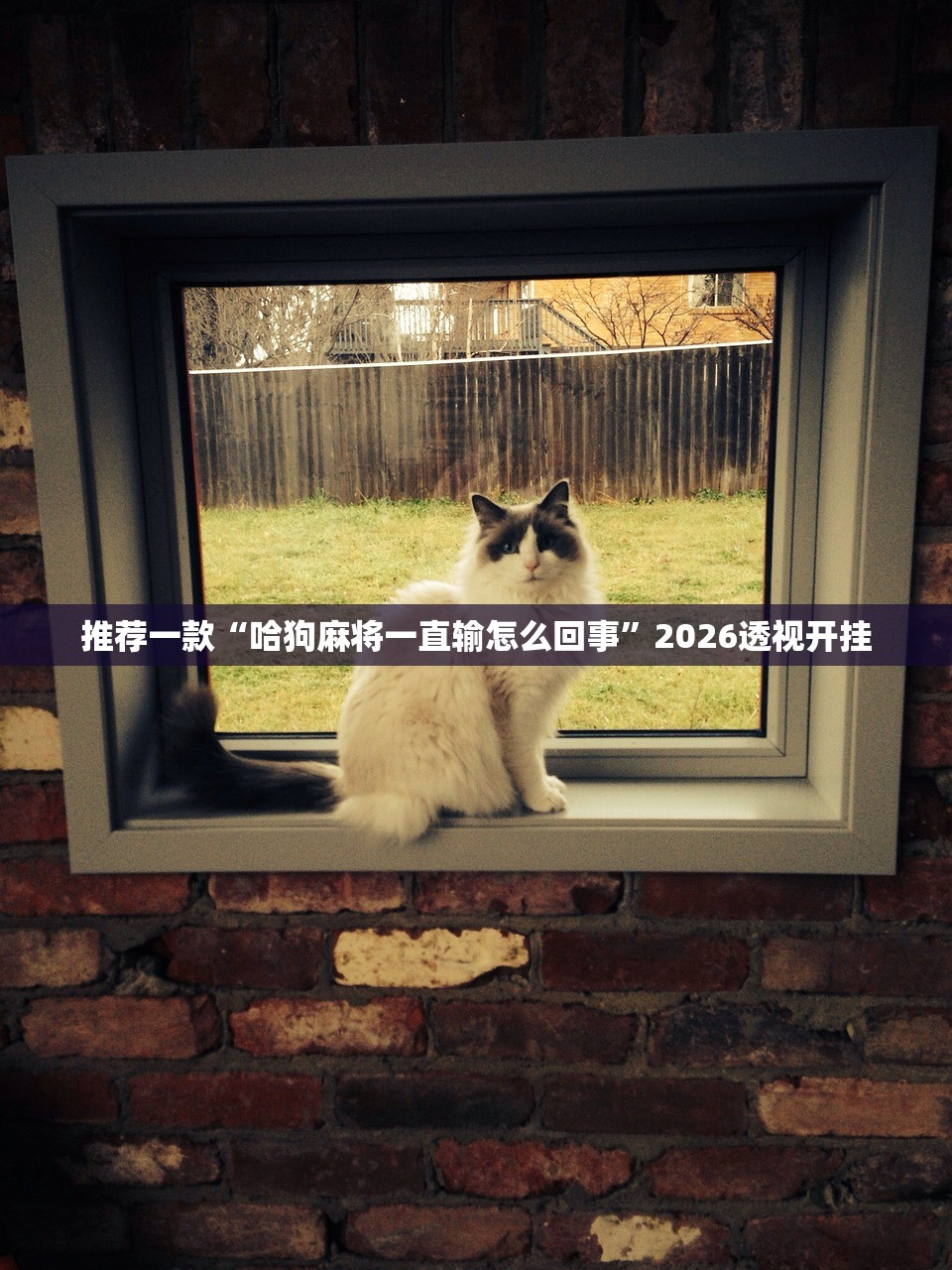 玩家必搜“微乐跑得快必赢神器”作弊(透视)透视辅助 