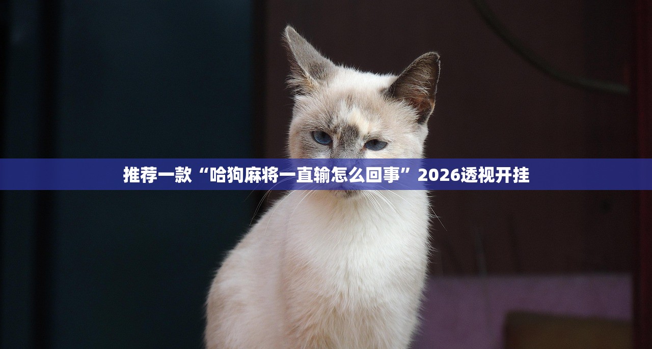 推荐一款“哈狗麻将一直输怎么回事	”2026透视开挂