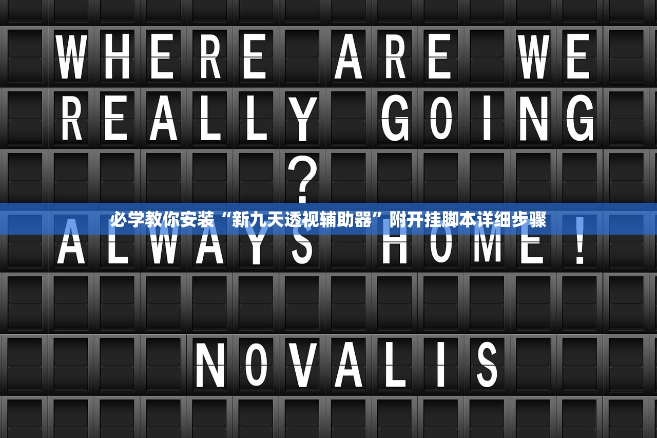 必学教你安装“新九天透视辅助器”附开挂脚本详细步骤