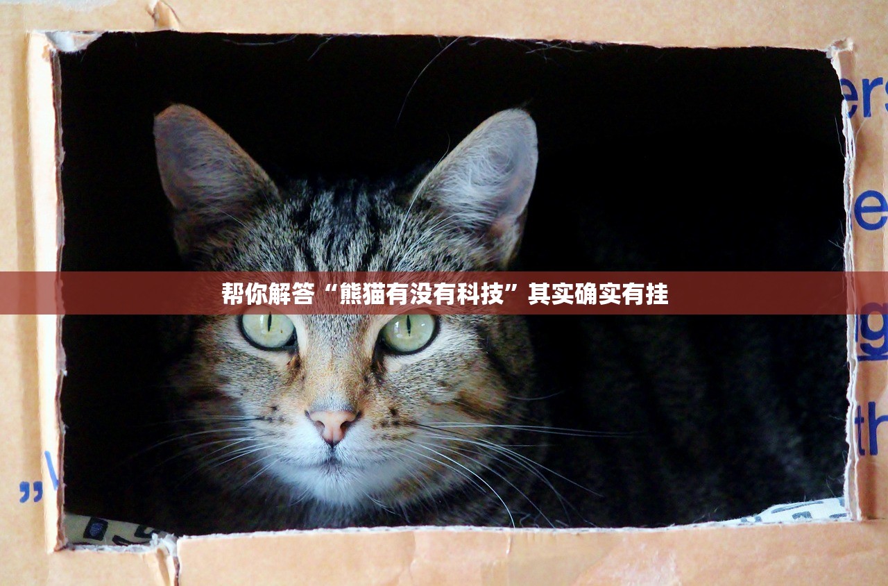 帮你解答“熊猫有没有科技	”其实确实有挂