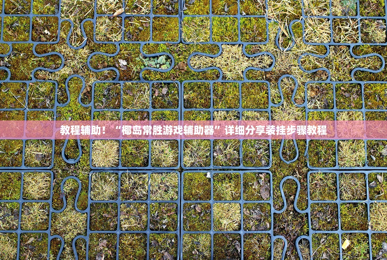 教程辅助！“椰岛常胜游戏辅助器	”详细分享装挂步骤教程