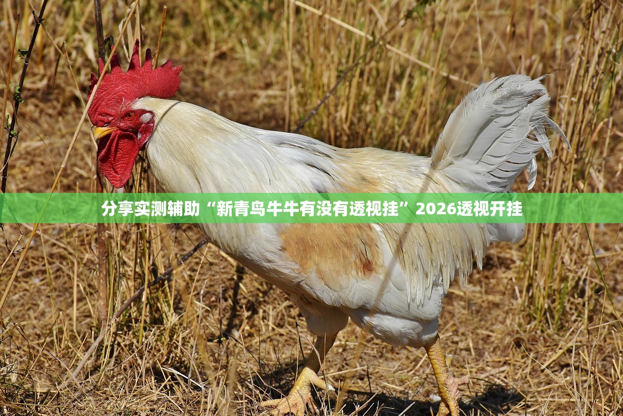 教程辅助！“永和大厅拼三张一直输怎么办	”2026新版本软件