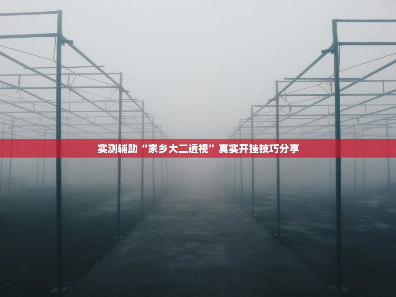 实测辅助“家乡大二透视”真实开挂技巧分享