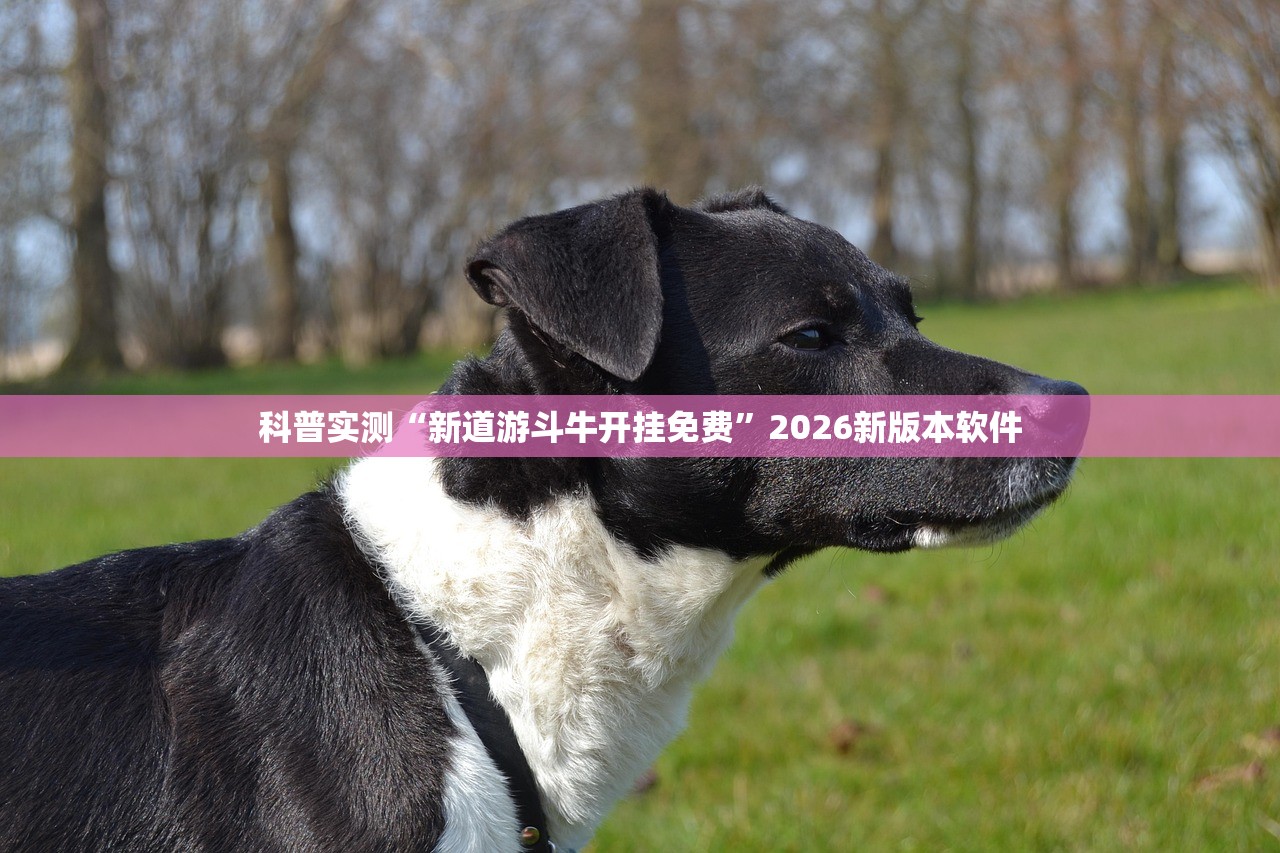 教程辅助！“小甘麻将有没有挂”2026开挂教程步骤