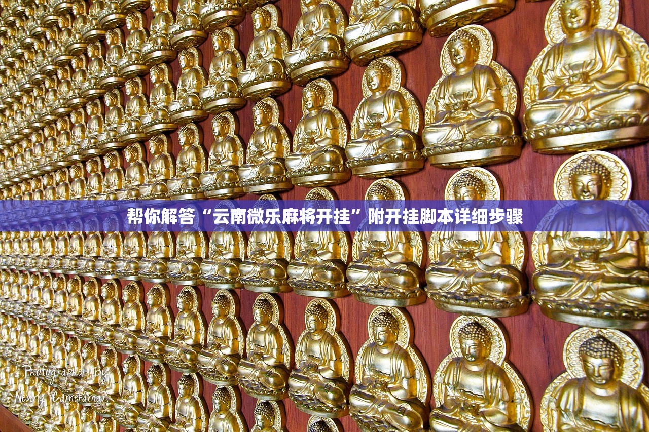帮你解答“云南微乐麻将开挂	”附开挂脚本详细步骤