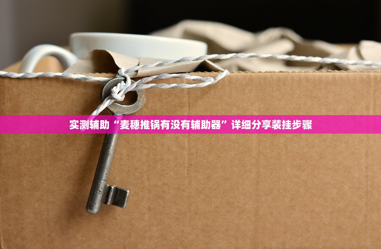 实测辅助“麦穗推锅有没有辅助器	”详细分享装挂步骤