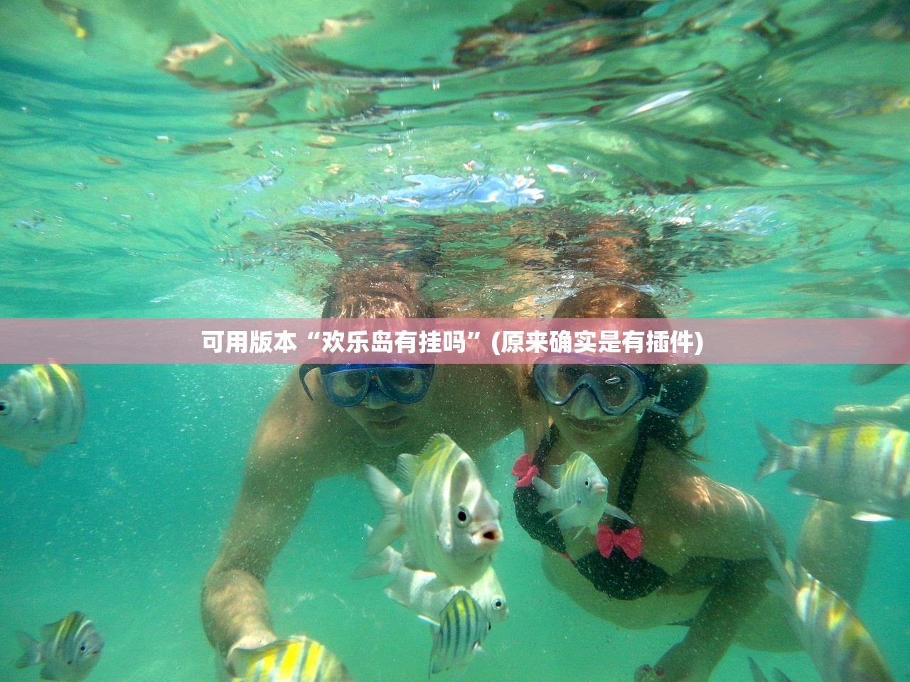 教程辅助“牛魔王大厅牛牛有办法看底牌吗”详细分享装挂步骤
