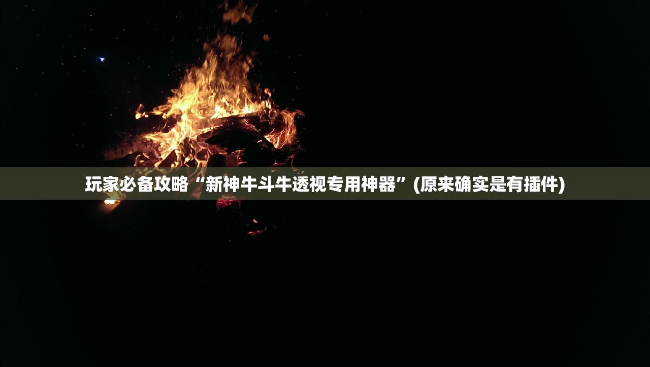 玩家必备攻略“新神牛斗牛透视专用神器”(原来确实是有插件)