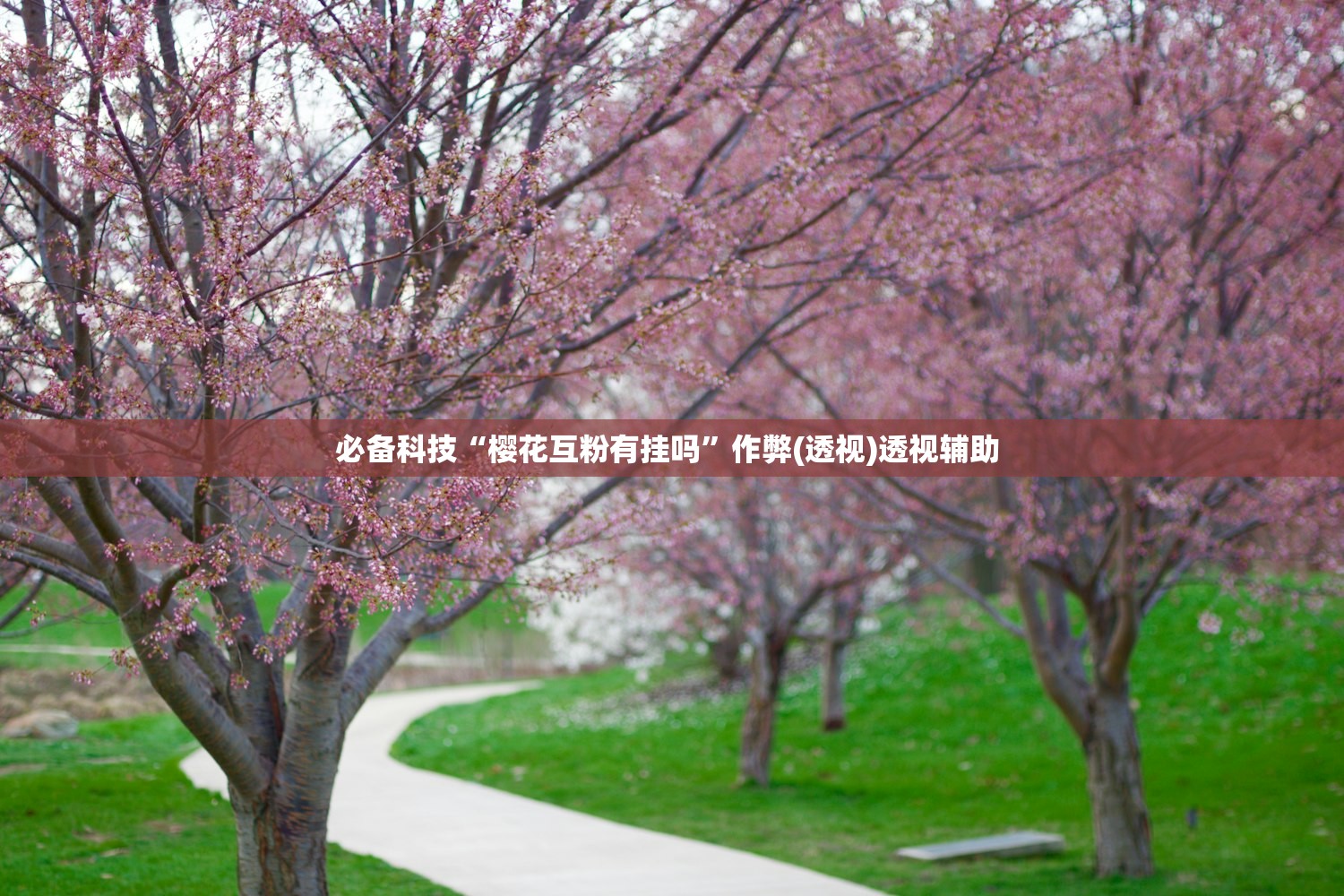 必备科技“樱花互粉有挂吗”作弊(透视)透视辅助 