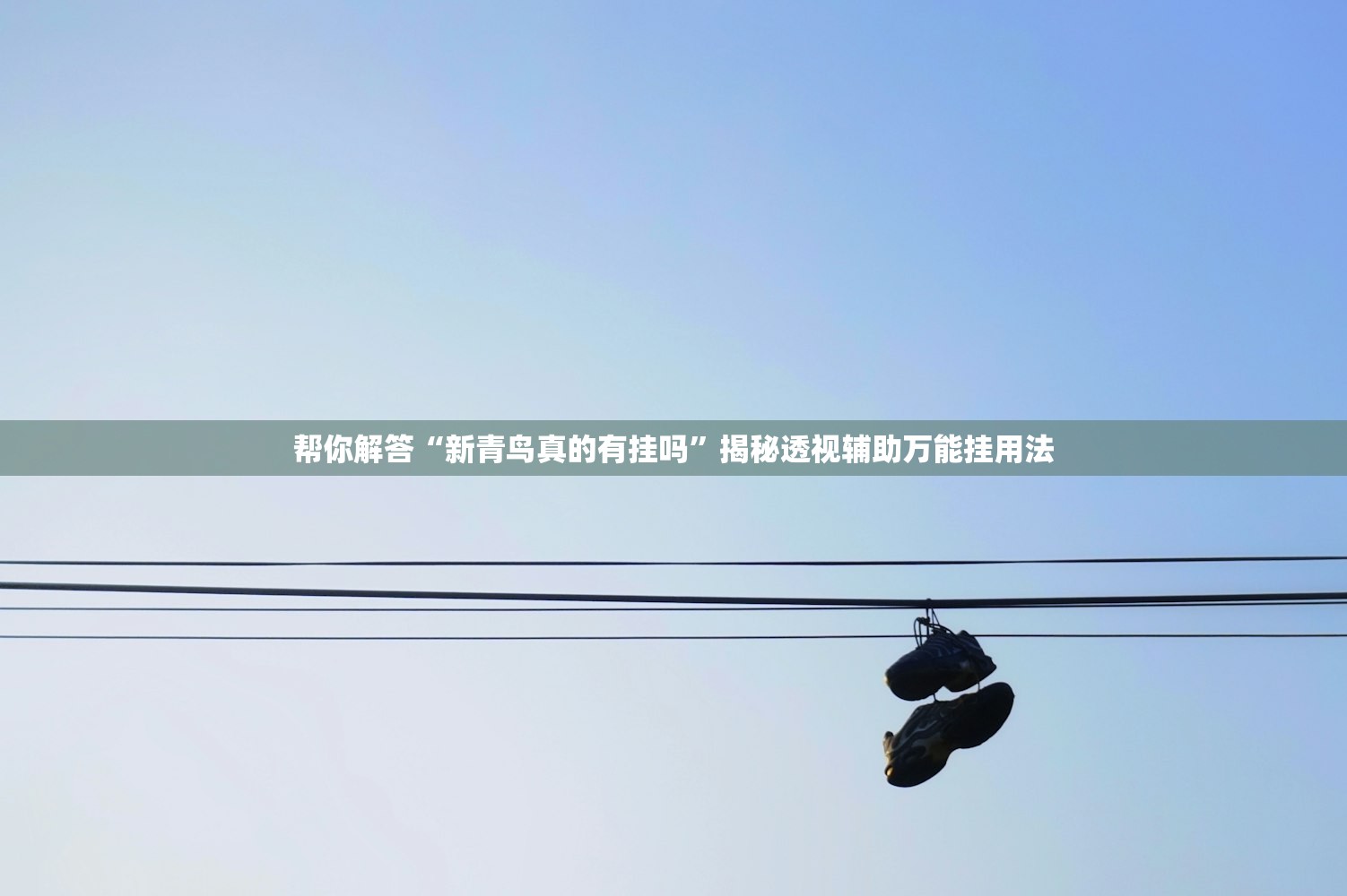 帮你解答“新青鸟真的有挂吗”揭秘透视辅助万能挂用法