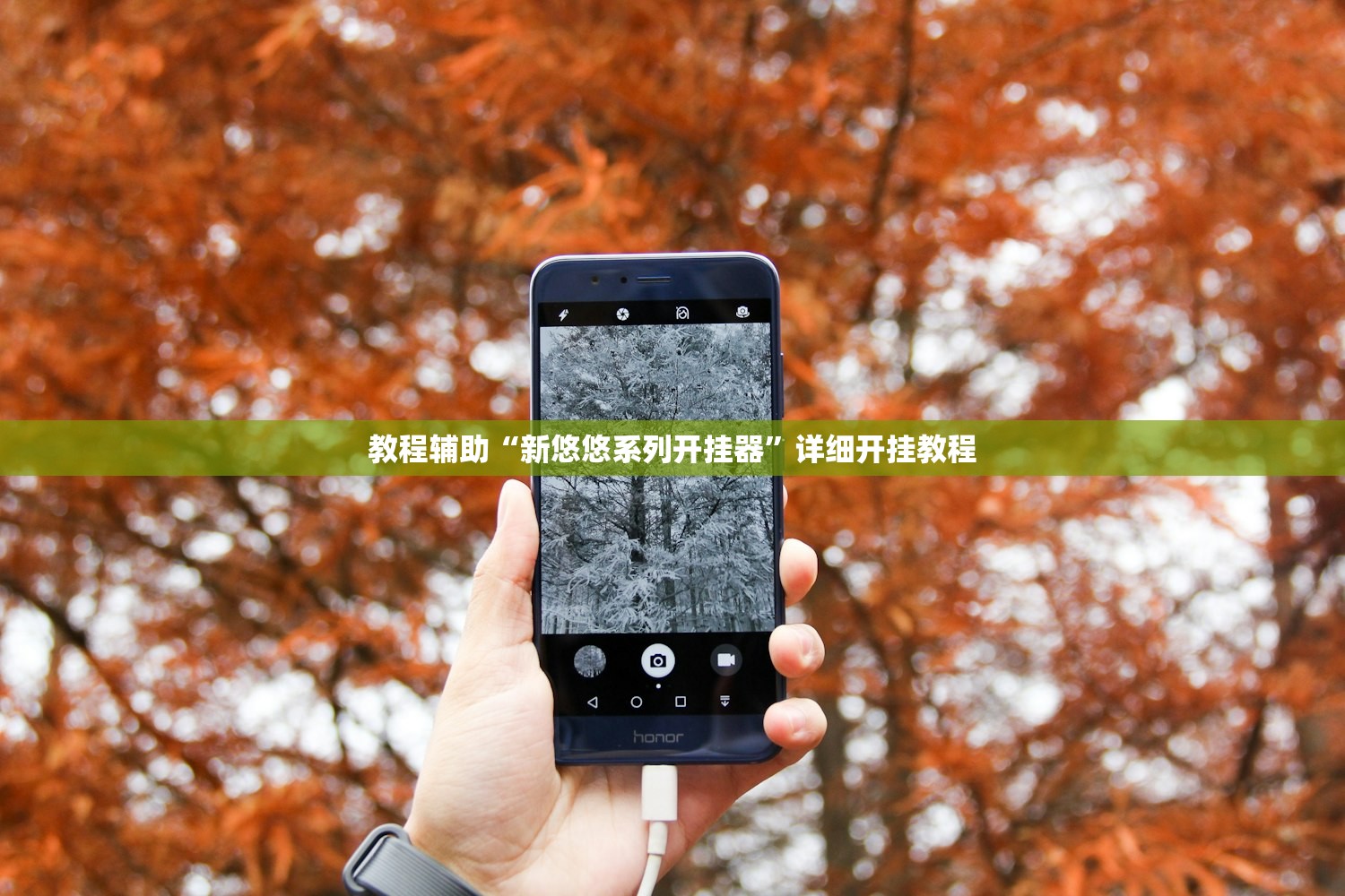 教程辅助“新悠悠系列开挂器	”详细开挂教程