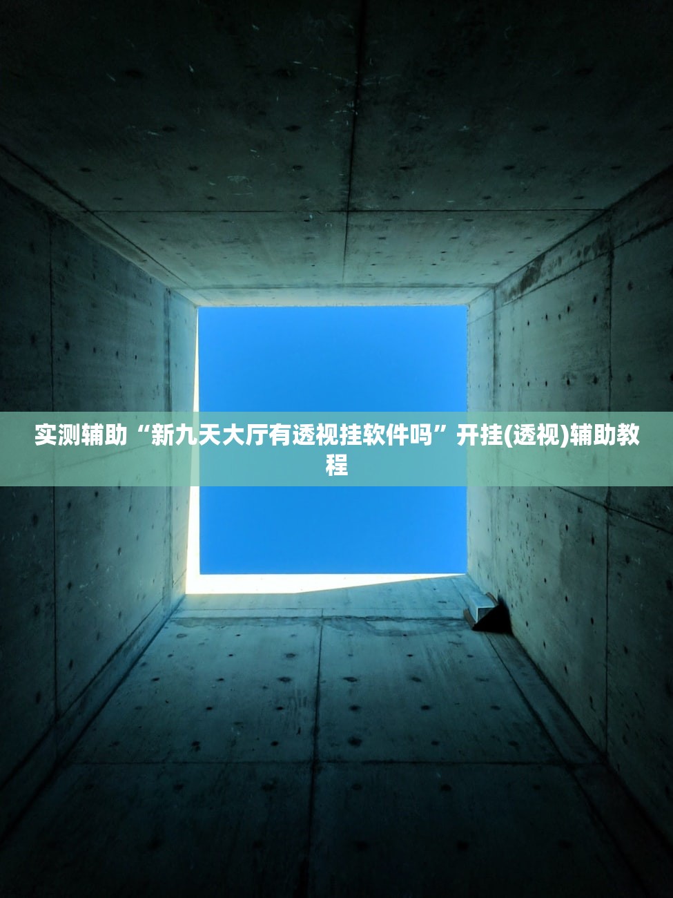必学教你安装“新皇豪怎么看别人有没有用挂”作弊(透视)透视辅助 