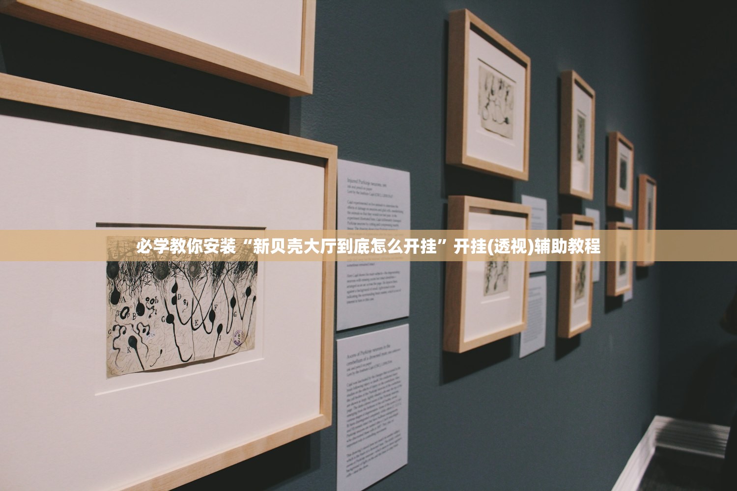 必学教你安装“新贝壳大厅到底怎么开挂	”开挂(透视)辅助教程
