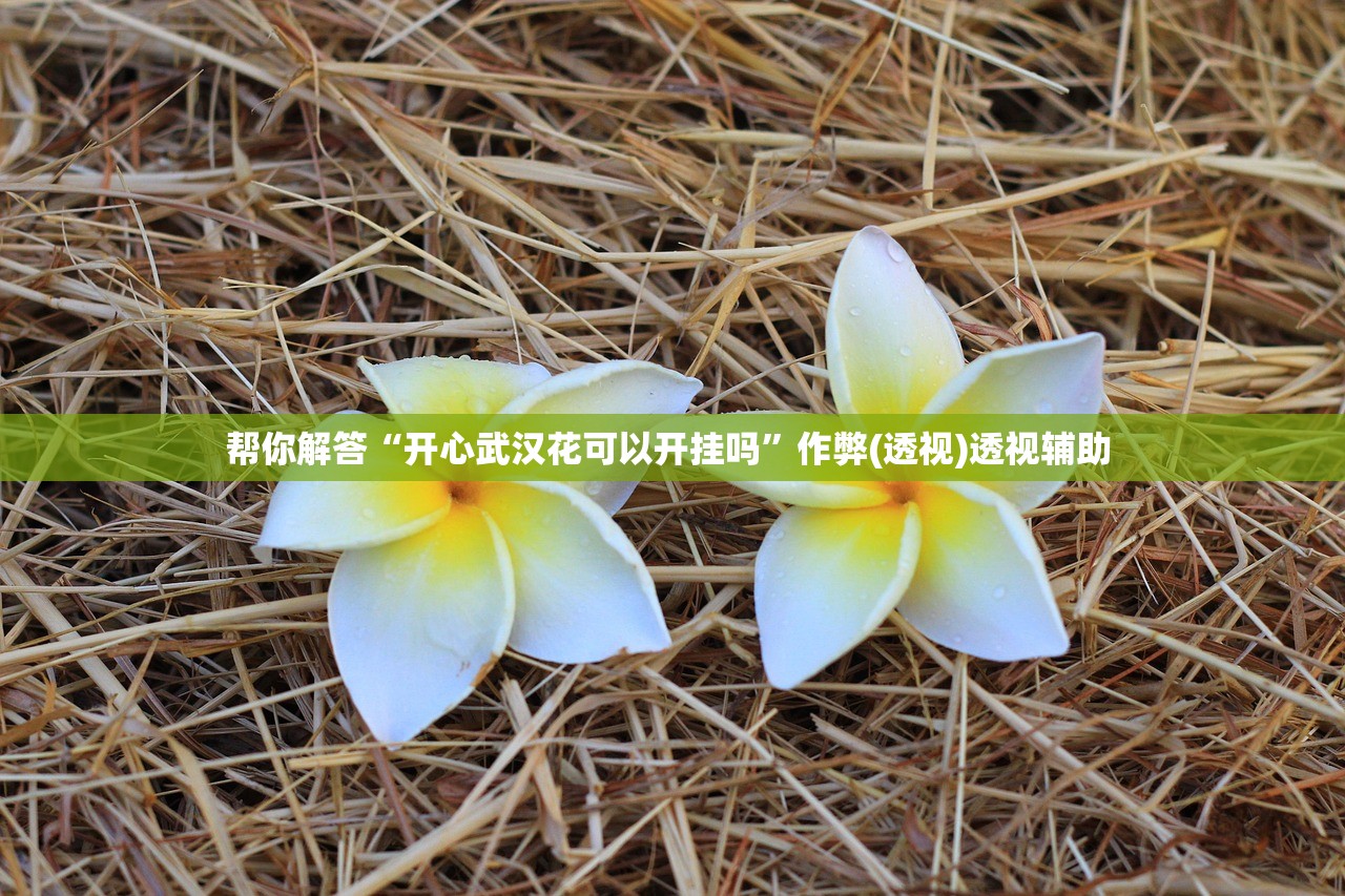 帮你解答“开心武汉花可以开挂吗”作弊(透视)透视辅助 