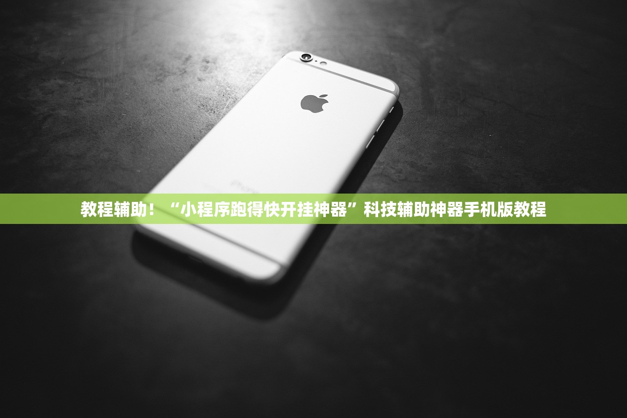 教程辅助！“小程序跑得快开挂神器	”科技辅助神器手机版教程