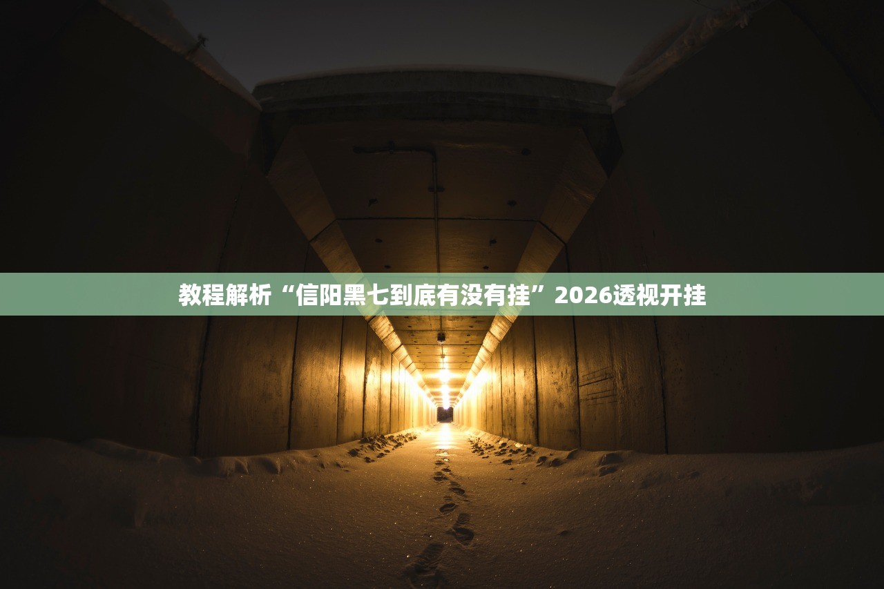 教程解析“信阳黑七到底有没有挂”2026透视开挂