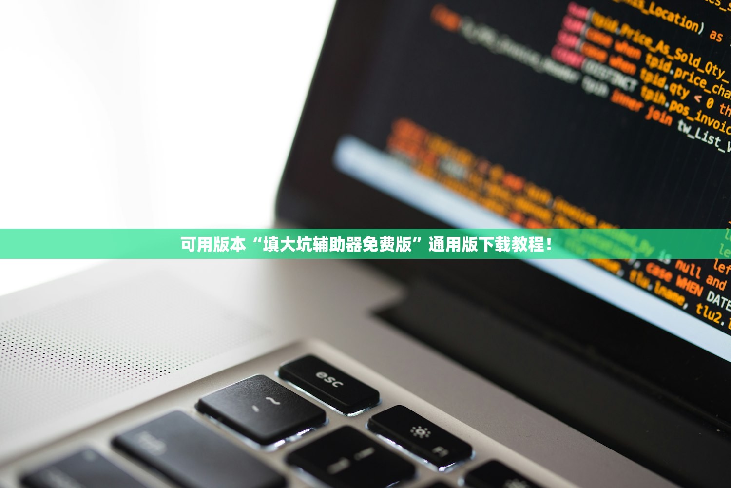 可用版本“填大坑辅助器免费版	”通用版下载教程！