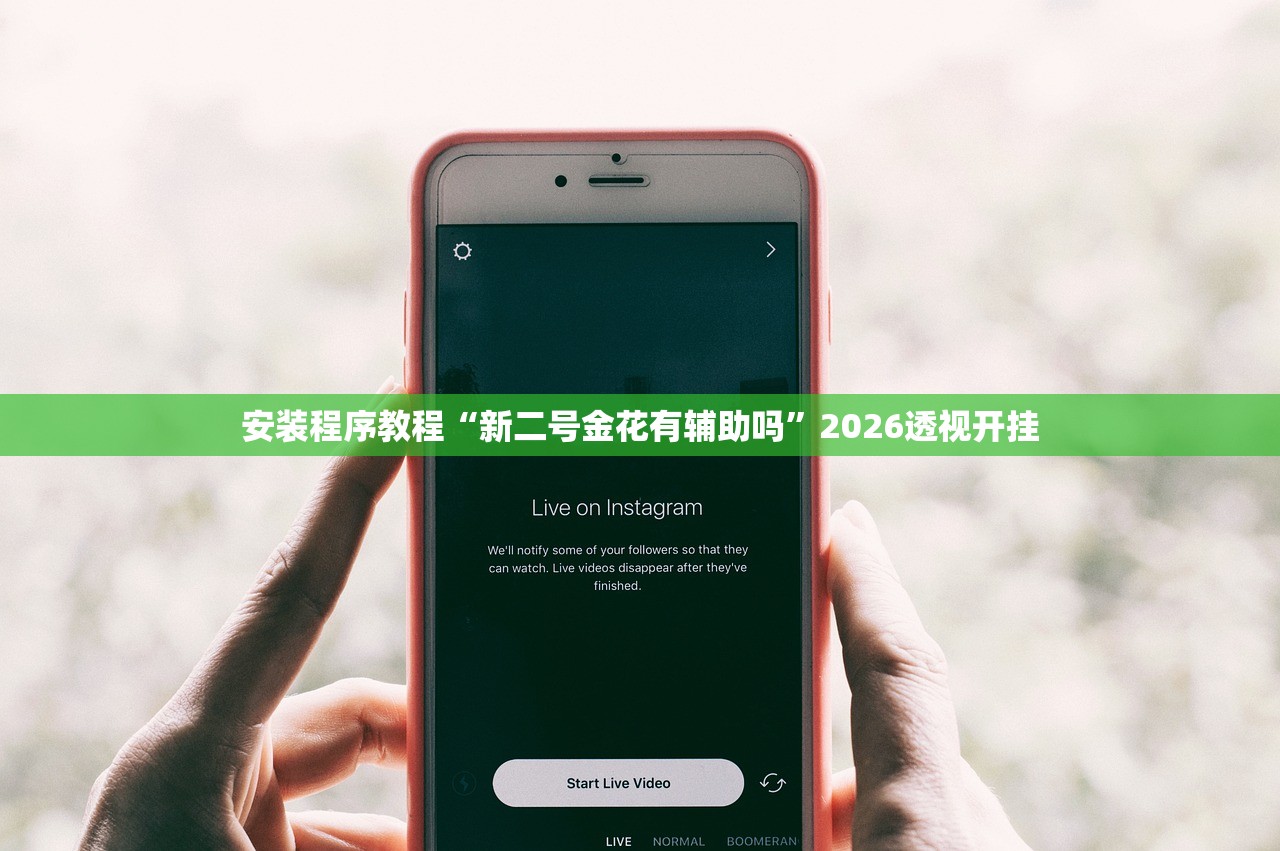 安装程序教程“新二号金花有辅助吗	”2026透视开挂